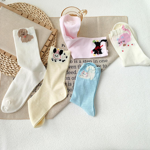 纪念日百货萌趣动物中筒袜潮流-萌趣中袜160900147 商品图0