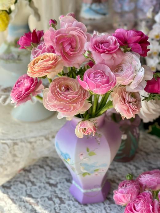 精品网红款瓷洋牡丹鲜切花1扎全国速递 商品图4