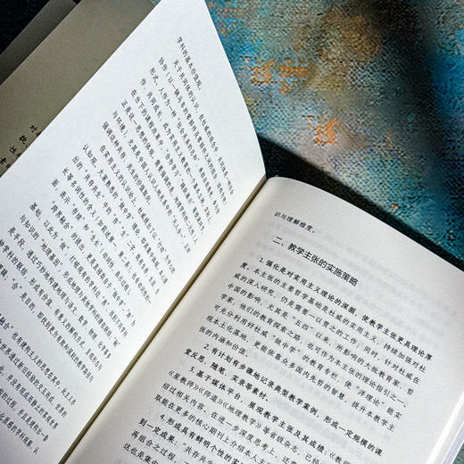 教学主张 打通理论与实践的阻隔 大夏书系 凌宗伟 教育创新 商品图12