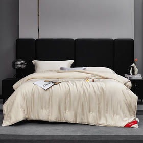 【分仓直发包邮】梦洁60天丝提花纤维蚕丝复合四季被—银海生花