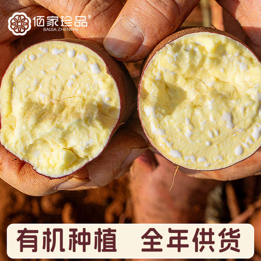 云南有机榴莲蜜薯 香甜糖心红薯  新鲜现挖 商品图1