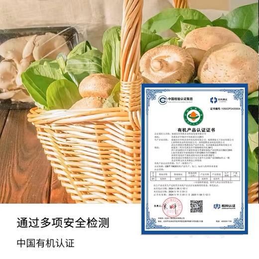 沈佳农有机笋尖350g/袋*3 商品图3