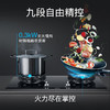 西门子灶具_ER9SM233MP 商品缩略图2
