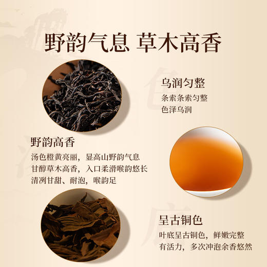 包装改版 元正 茶颜高山1100 特级武夷红茶叶罐装50g/150g 商品图1