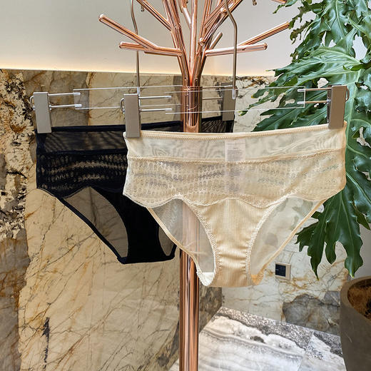 【特价捡漏】官网860！沃尔福te同款 两条装列维丝蕾丝网纱拼接性感低腰三角裤 透气棉质裆内裤底裤女 商品图2