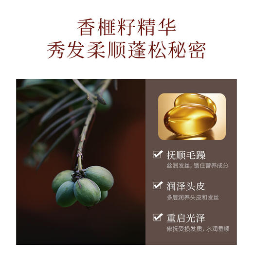 【分仓直发包邮】浅香日本香榧氨基酸顺滑膏260g 商品图1