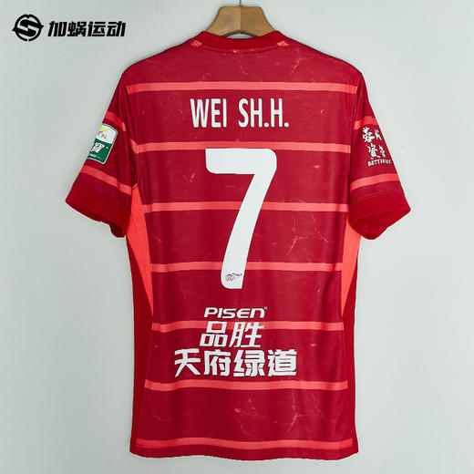 SFS耐克Nike2025赛季中超成都蓉城主场球迷版球衣 HM6166-687 商品图1