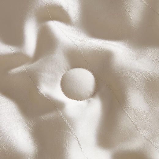 【分仓直发包邮】梦洁60天丝提花纤维蚕丝复合四季被—银海生花 商品图3