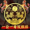双麒麟金属贴 商品缩略图4