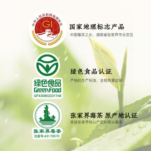 严选 | 陈力新牙尖莓茶 50g/罐 商品图6