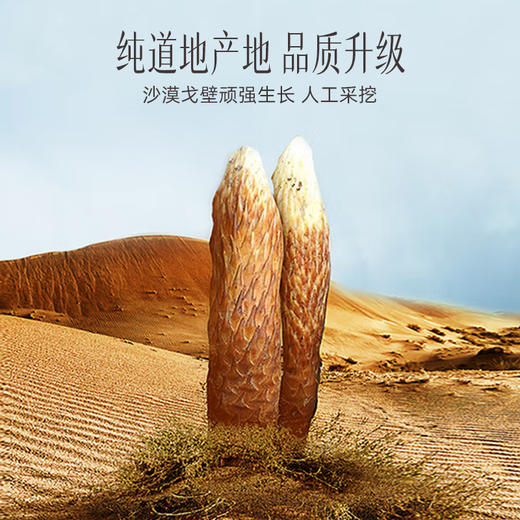 【官方正品】云南白药有这一方肉苁蓉125g内蒙古原产地片大厚实煲汤泡水滋补 商品图1