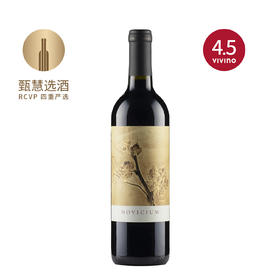 小摇钱树 2020 Continuum Novicium