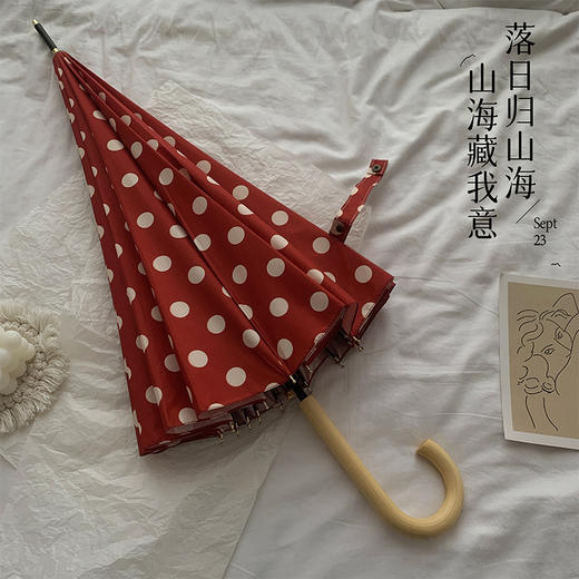 【港式设计抗风，高级感十足！】长柄伞16骨 港式雨伞女 抗风波点加大伞 高级感自动结实晴雨两用伞-QQ 商品图6