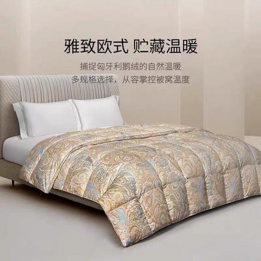 【罗卡芙】B7F ROYALCOVER罗卡芙匈牙利进口  95%鹅绒春秋被 兰特森林 商品图1
