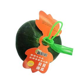 精品贝贝瓜（个）