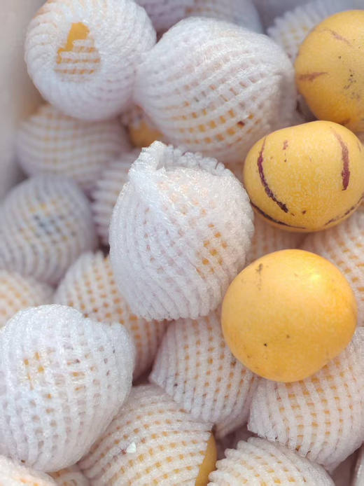 水分小炸弹～人参果，云南树熟人参果
口感清甜多汁，果肉味道独特，皮薄，无核无籽，成熟的人参果有淡淡的奶香味，跟市面上买到的，完全不一样，水分、甜度非常优秀！小果，1斤 商品图1