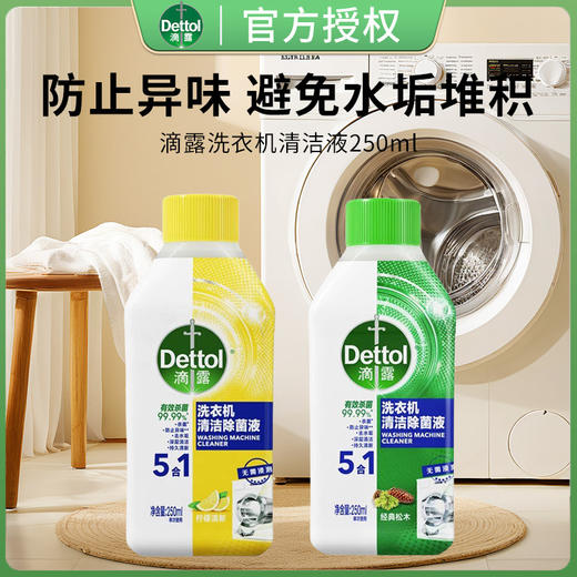 买一送一 滴露洗衣机清洗剂清洁剂除菌液消毒液杀菌除垢250ml清潔官方正品 商品图0