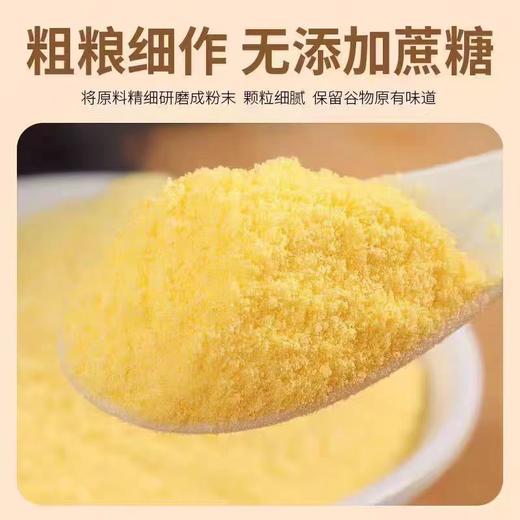 硕果田间黄芪党参玉米糊175g*5盒 商品图6