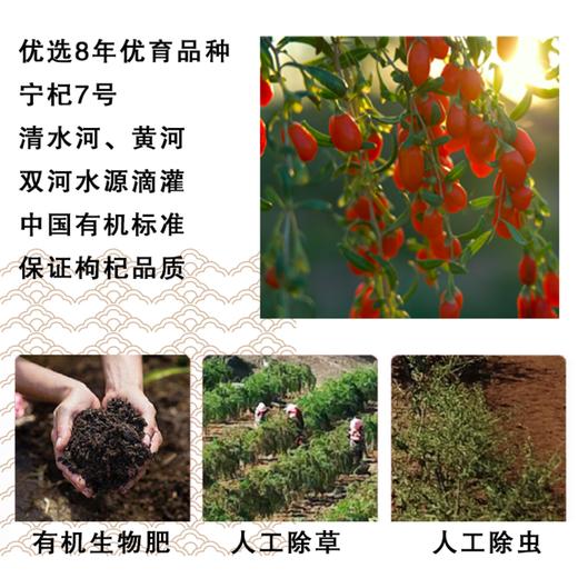 【鲜果成浆 多重维生素 纯浆不加水】得养生有机枸杞原浆 7*30mL/盒*2盒送1袋 商品图2