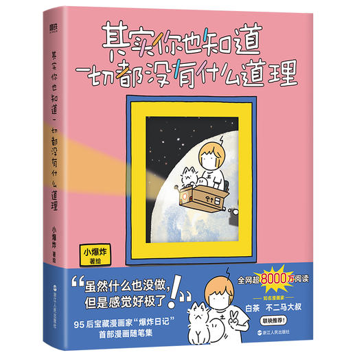 其实你也知道一切都没有什么道理 小爆炸日记 商品图6