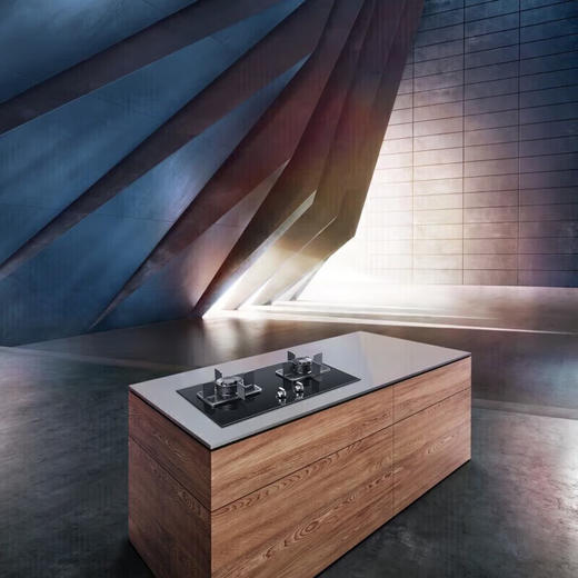 西门子灶具_ER8MF233MP 商品图2