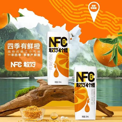 【敢拧】4个橙100%NFC橙汁210ml*10瓶 四季鲜橙鲜榨 非浓缩还原无添加纯果汁 商品图5