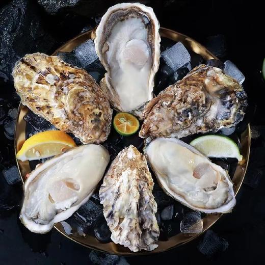 【乳山生蚝三倍体】北纬37度纯净海域，乳山生蚝肥美口味鲜甜，个头大、肉质饱满、入口爽滑、汁液鲜美 商品图9