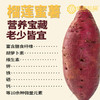 云南有机榴莲蜜薯 香甜糖心红薯  新鲜现挖 商品缩略图5