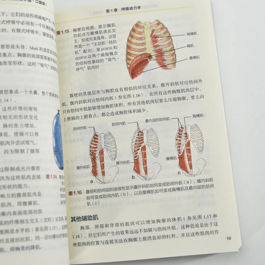 瑜伽解剖学 口袋版 瑜伽书籍 艾扬格瑜伽 艾扬格阿斯汤哈达瑜伽书 商品图3