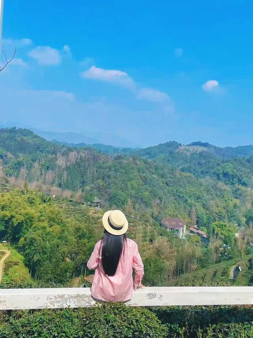 2026春茶采摘【都江堰·茶溪谷】踏春采茶39.8元/人~采茶制茶套票超值享，体验茶文化，学习制茶的过程和工序，劳动成果可带回家哦！ 商品图12