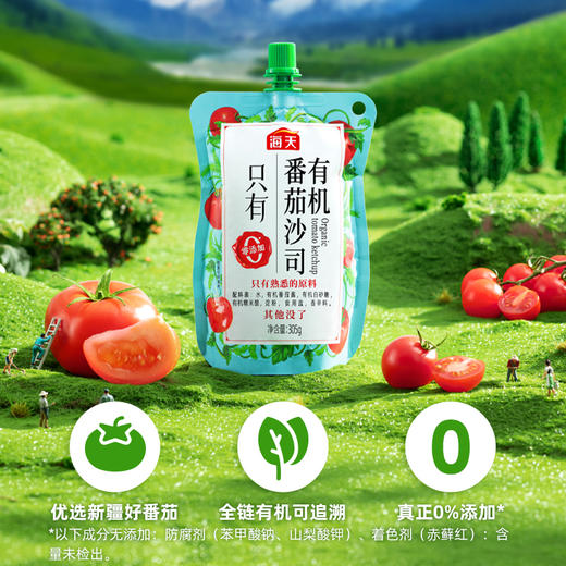海天有机番茄沙司305g 零添加 全程有机 商品图1