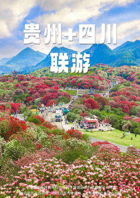 【花漫川黔】动车五天