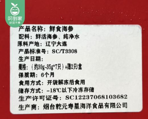 辽宁鲜食海参（已杀-冷冻）/1盒（约30g*7只）另赠同款2只生产日期：25年12月 商品图5