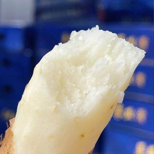 金沙山药【净重约3.2～3.5斤】 商品图4