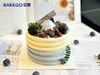 《蓝莓黑莓花青素酸奶蛋糕》轻糖蛋糕 商品缩略图0