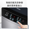 海尔（Haier）波轮洗衣机全自动12公斤大容量直驱变频家用超净洗大件洗 桶自洁 阻尼玻璃门盖 国家政府补贴 12公斤Z216超净洗洗净比1.1（超净洗）+羊毛洗+桶自洁 商品缩略图4