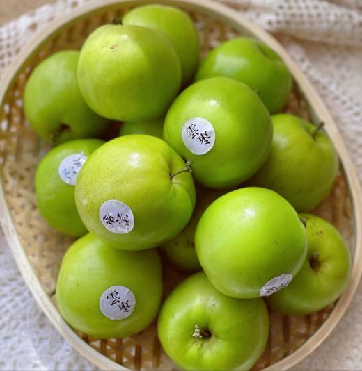 西双版纳雪枣 苹果枣【大果】 | 水果 商品图1