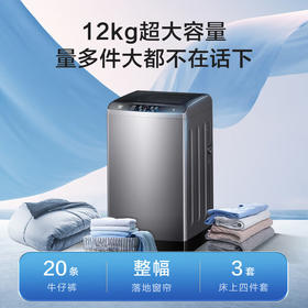 海尔（Haier）波轮洗衣机全自动12公斤大容量直驱变频家用超净洗大件洗 桶自洁 阻尼玻璃门盖 国家政府补贴 12公斤Z216超净洗洗净比1.1（超净洗）+羊毛洗+桶自洁