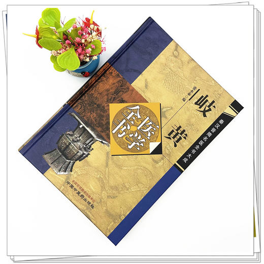 岐黄医学全书 张永泰 编 秦汉晋隋名医全书大成 中国中医药出版社 黄帝内经灵枢素问 书籍 商品图1