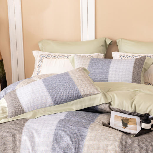 多喜爱 艾阳绒发热磨毛套件 四件套 基德 商品图3