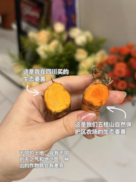 【生态姜黄肉桂】白瘦活力不是梦｜破除瘀堵行气｜不焦虑不抑郁｜无农残无科技无添加｜微量元素丰富｜每天正常刷牙不会着色（姜黄见光脱色 印度人用姜黄以黄祛黄做美白面膜） 商品图7