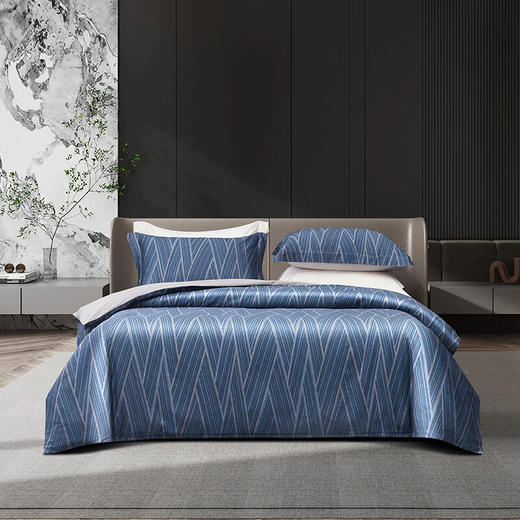 【分仓直发包邮】梦洁60S长绒棉贡缎数码印花抗菌四件套—阡陌.微澜 商品图0