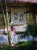 2026春茶采摘【都江堰·茶溪谷】踏春采茶39.8元/人~采茶制茶套票超值享，体验茶文化，学习制茶的过程和工序，劳动成果可带回家哦！ 商品缩略图2