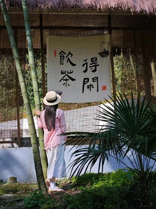 2026春茶采摘【都江堰·茶溪谷】踏春采茶39.8元/人~采茶制茶套票超值享，体验茶文化，学习制茶的过程和工序，劳动成果可带回家哦！ 商品图2