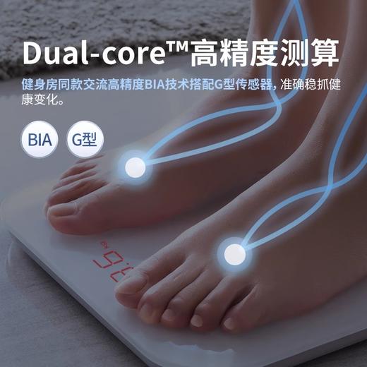 【分仓直发包邮】PICOOC有品智能体脂秤Mini-lite 商品图3