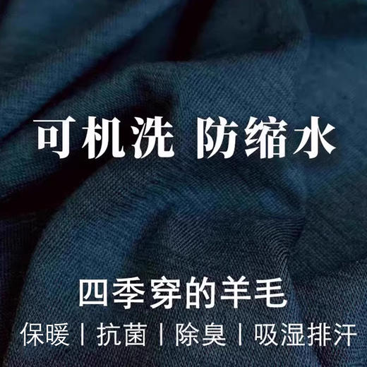 【179.9元团】灰壳户外男100%美利奴羊毛速干衣排汗透气长袖 商品图1