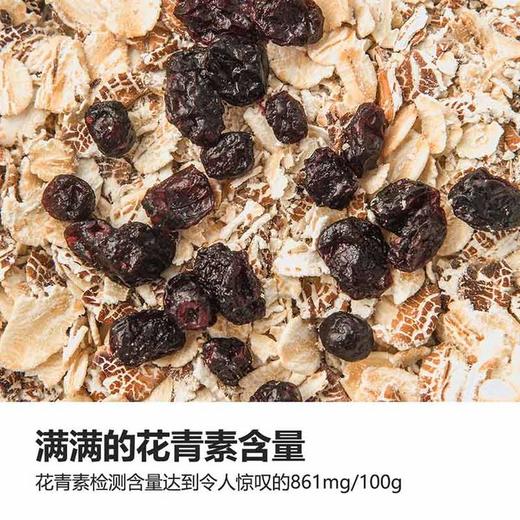 几分之几 美国加州进口无核西梅干/北欧越橘蓝莓干 个大肉厚 开袋即食 商品图11