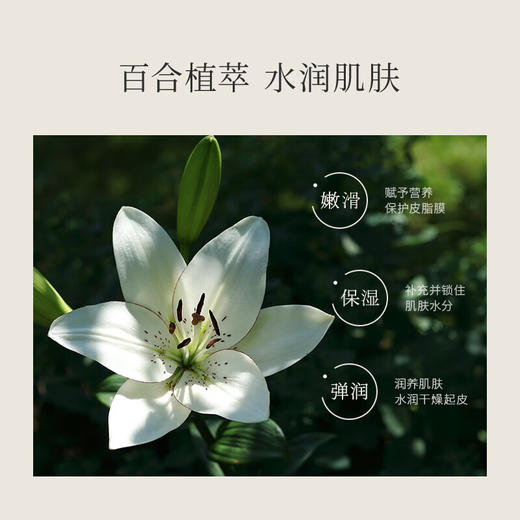 【特惠】浅香日本百合氨基酸沐浴露750g/瓶 商品图3