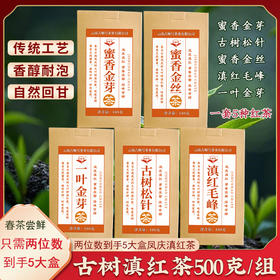 2026年滇红茶组合 蜜香金芽 古树松针 蜜香金丝 滇红毛峰 一叶金芽各100克总量500克/组