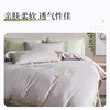 【新品】简奢生活纯棉四件套 商品缩略图5